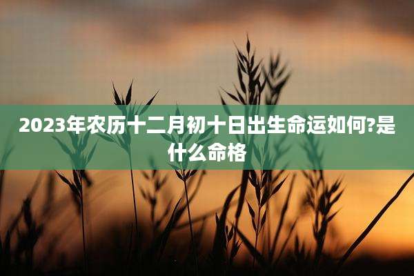 2023年农历十二月初十日出生命运如何?是什么命格