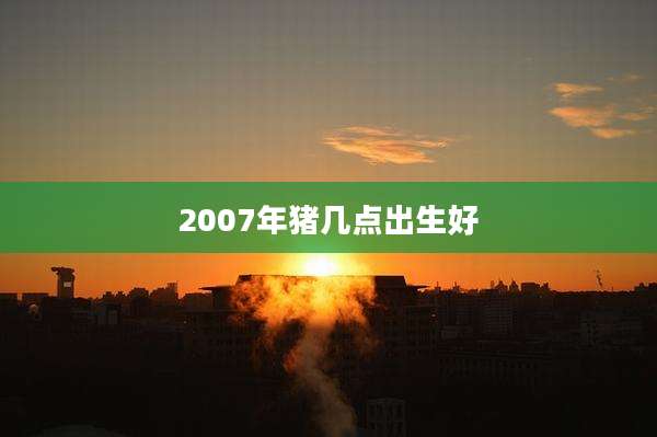 2007年猪几点出生好