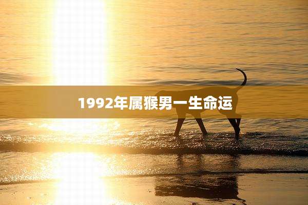 1992年属猴男一生命运