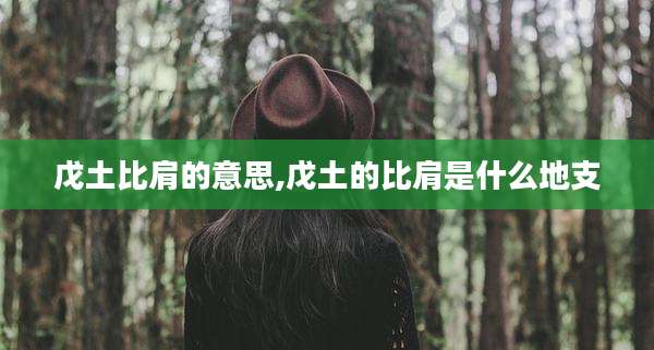 戊土比肩的意思,戊土的比肩是什么地支