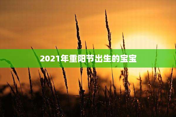 2021年重阳节出生的宝宝