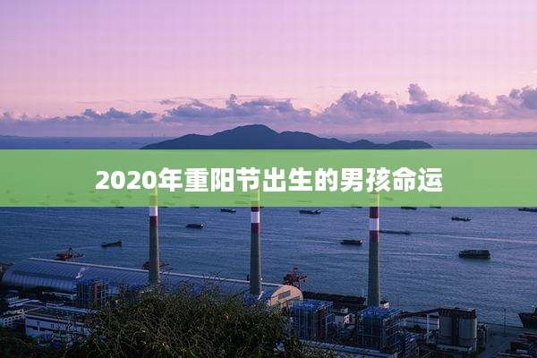 2020年重阳节出生的男孩命运