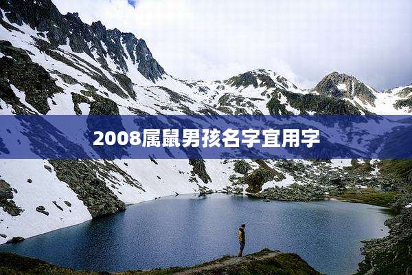 2008属鼠男孩名字宜用字