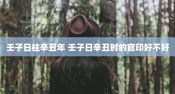 壬子日柱辛丑年 壬子日辛丑时的官印好不好