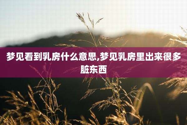 梦见看到乳房什么意思,梦见乳房里出来很多脏东西