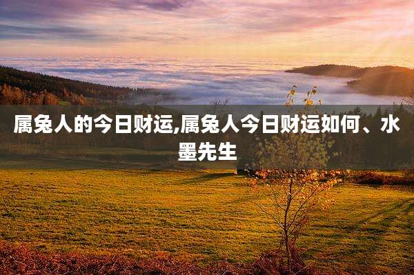 属兔人的今日财运,属兔人今日财运如何、水墨先生