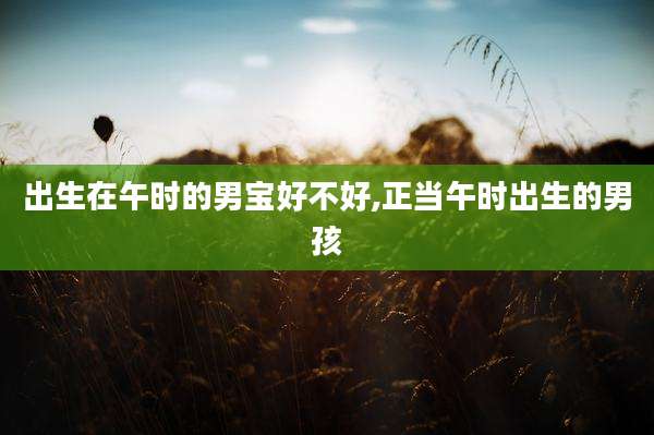 出生在午时的男宝好不好,正当午时出生的男孩