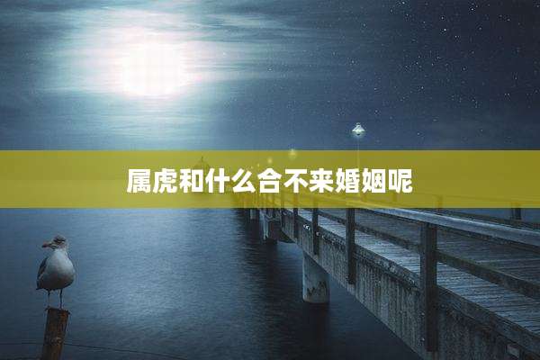 属虎和什么合不来婚姻呢