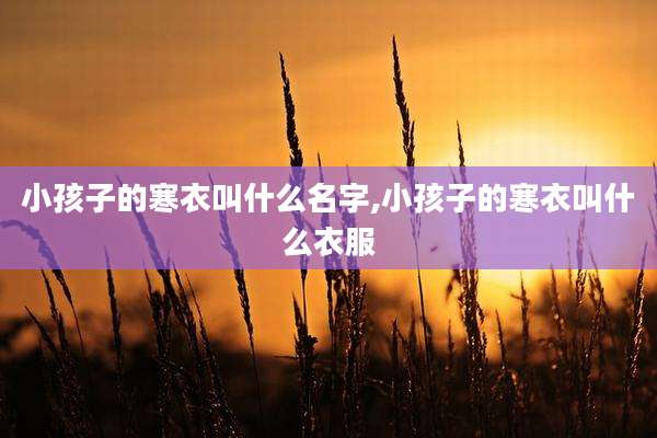 小孩子的寒衣叫什么名字,小孩子的寒衣叫什么衣服