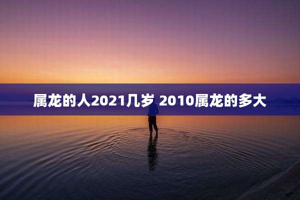 属龙的人2021几岁 2010属龙的多大