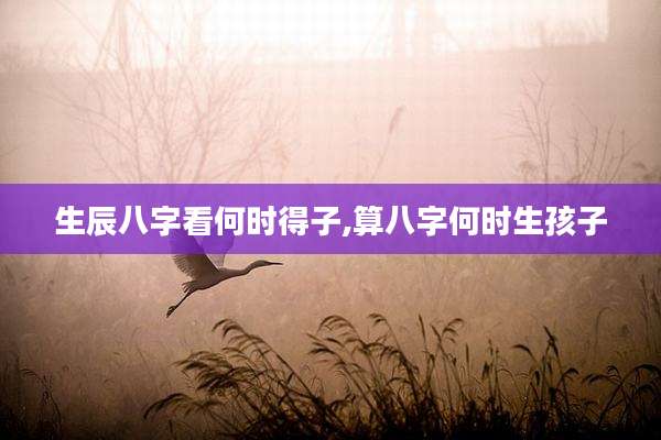 生辰八字看何时得子,算八字何时生孩子
