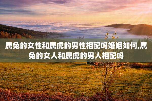 属兔的女性和属虎的男性相配吗婚姻如何,属兔的女人和属虎的男人相配吗