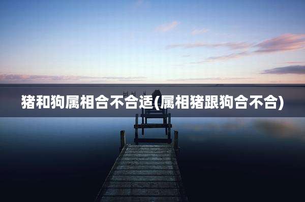 猪和狗属相合不合适(属相猪跟狗合不合)