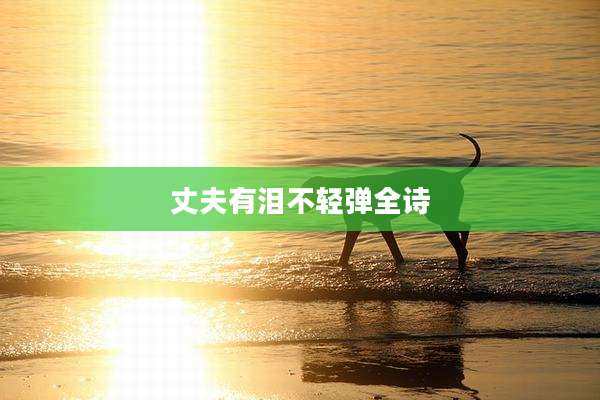 丈夫有泪不轻弹全诗