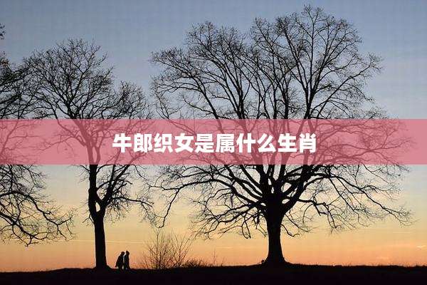牛郎织女是属什么生肖