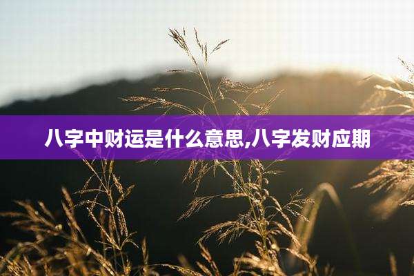 八字中财运是什么意思,八字发财应期
