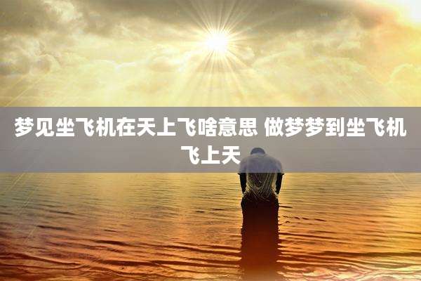 梦见坐飞机在天上飞啥意思 做梦梦到坐飞机飞上天