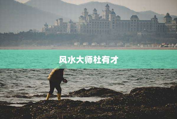 风水大师杜有才