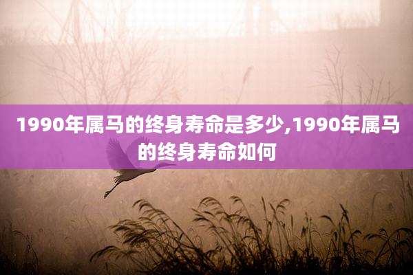 1990年属马的终身寿命是多少,1990年属马的终身寿命如何