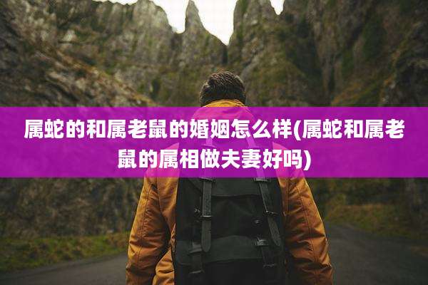 属蛇的和属老鼠的婚姻怎么样(属蛇和属老鼠的属相做夫妻好吗)