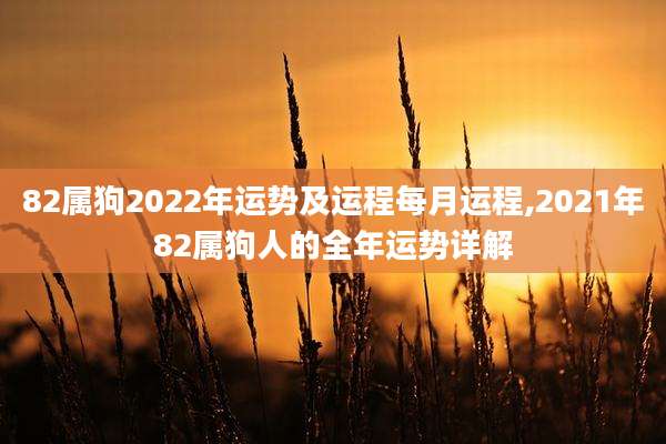 82属狗2022年运势及运程每月运程,2021年82属狗人的全年运势详解