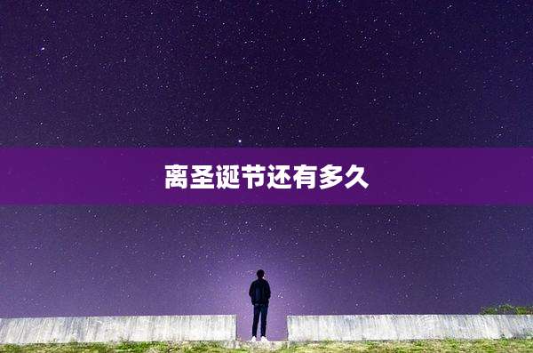 离圣诞节还有多久