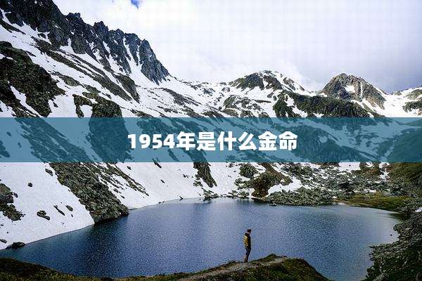 1954年是什么金命