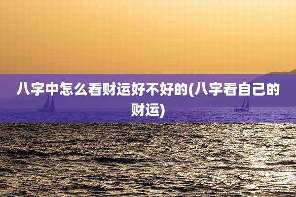 八字中怎么看财运好不好的(八字看自己的财运)