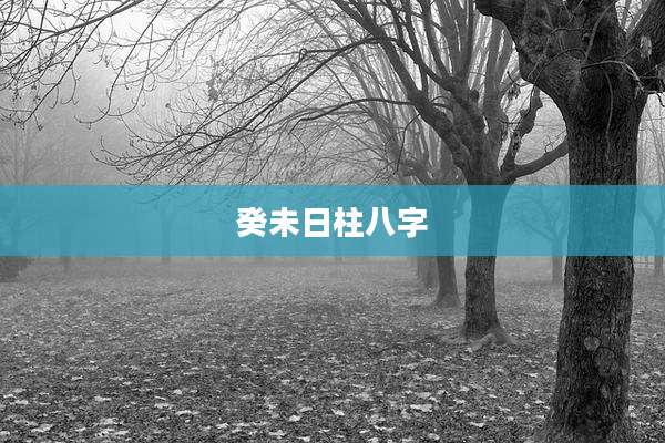 癸未日柱八字