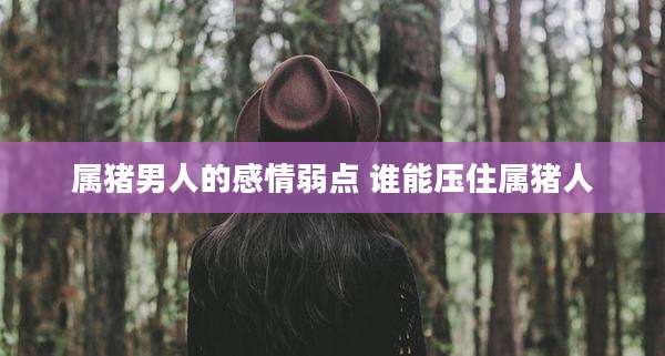 属猪男人的感情弱点 谁能压住属猪人