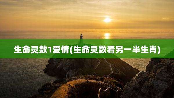 生命灵数1爱情(生命灵数看另一半生肖)