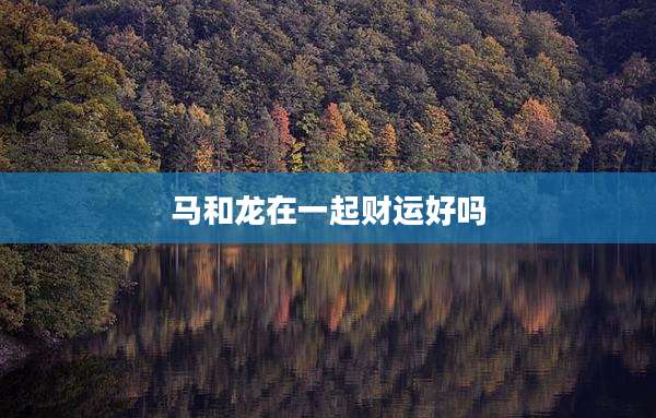 马和龙在一起财运好吗
