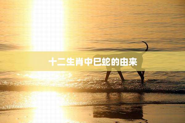 十二生肖中巳蛇的由来