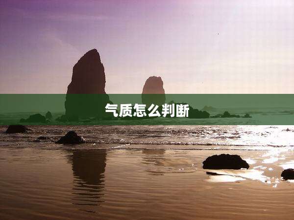 气质怎么判断