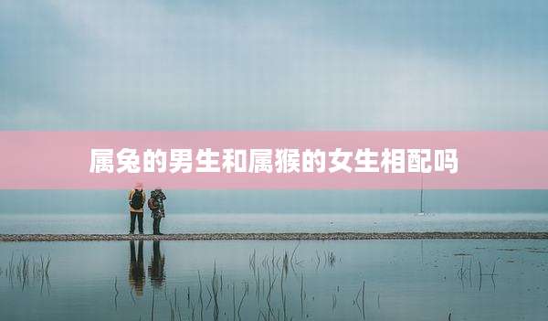 属兔的男生和属猴的女生相配吗