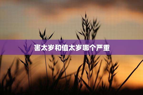 害太岁和值太岁哪个严重