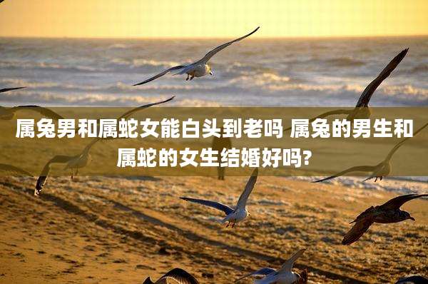 属兔男和属蛇女能白头到老吗 属兔的男生和属蛇的女生结婚好吗?