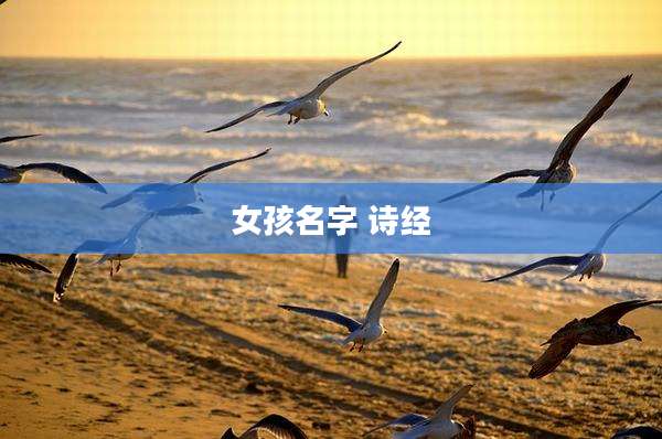 女孩名字 诗经