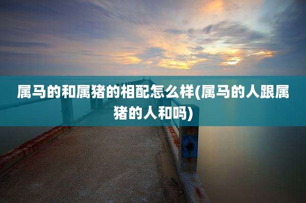 属马的和属猪的相配怎么样(属马的人跟属猪的人和吗)