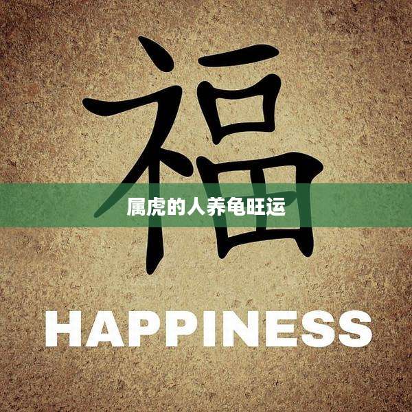 属虎的人养龟旺运