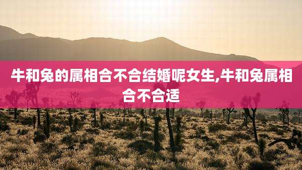 牛和兔的属相合不合结婚呢女生,牛和兔属相合不合适