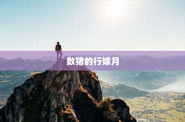 数猪的行嫁月