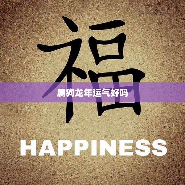 属狗龙年运气好吗