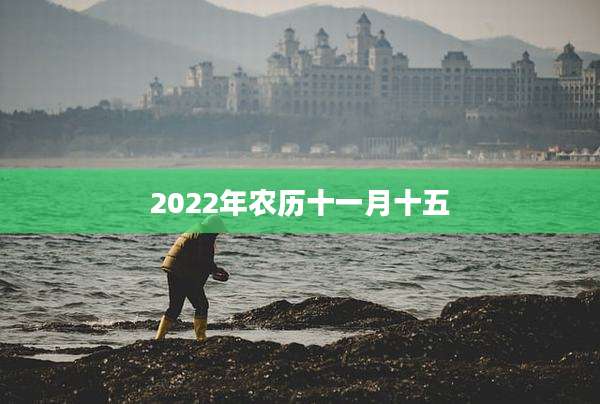 2022年农历十一月十五