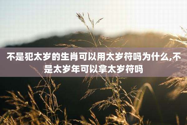 不是犯太岁的生肖可以用太岁符吗为什么,不是太岁年可以拿太岁符吗