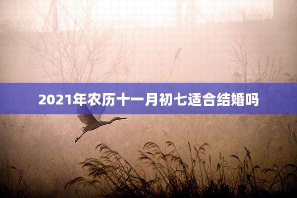 2021年农历十一月初七适合结婚吗
