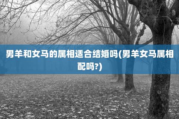 男羊和女马的属相适合结婚吗(男羊女马属相配吗?)