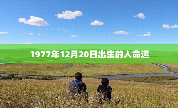 1977年12月20日出生的人命运