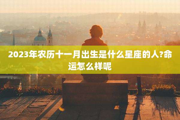 2023年农历十一月出生是什么星座的人?命运怎么样呢