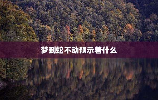 梦到蛇不动预示着什么